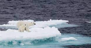 Climate change could refer to a particular location or the planet as a whole. This Is Why Fighting Climate Change Is So Urgent Environmental Defense Fund