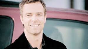 Stydia border collie derek GIF