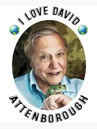 I Love David Attenborough Greeting Card