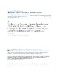 Můžete vybírat z široké škály podobných scén. Pdf The Emerging Dziggetai Equidae Equus Hemionus Pallas An Illustrated History Of Taxonomic Concepts For The Identification Classification And Distribution Of Hemiones From Central Asia