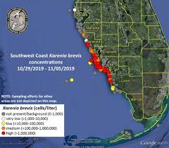 High Concentrations Of Red Tide Found In Sarasota County