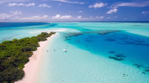 Airlines, dates and prices in one go. 6 Best Beaches In Fiji Acanela Expeditions