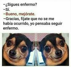 Visitanos Para Ver Mas Imagenes O Subir La Tuya Tags Ignoren Humor Memes Momos Memesespanol Momosespanol Imagenesg Memes Graciosos Memes Memes De Risa