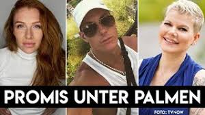 Die erste staffel wurde vom 25. Promis Unter Palmen 2021 Mit Love Island Temptation Island Vip Sommerhaus Stars Youtube