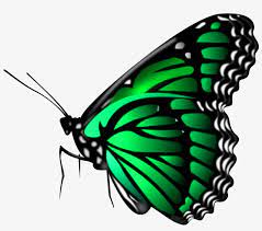 Glow effects , stylish texts , logos , lights. All New Editing Png Download Picsart Png Clipart Papillon Transparent Png 1600x1202 Free Download On Nicepng