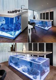 Basic Aquarium Guide 14 2020 Akvaryumlar Akvaryum Dekorasyon