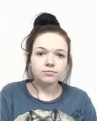 Davidson County woman charged with kidnapping, robbery