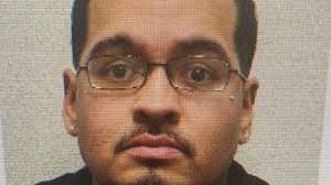 Sandy coyote attacks