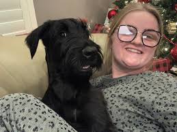 Giant schnauzer puppy almost 10 months old