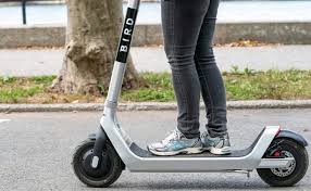 In workplaces throughout the united states, companies' employees are often categorized as salaried workers or hourly workers. Bird Scooters To Be Booted Out Of Santa Monica Santa Monica Daily Press