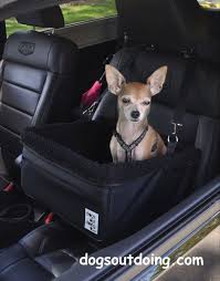Small Black Dog Car Booster Seat Black Lining Dogs Out Doing Price Aud 59 Available At Www Dogsoutdo Dog Car Booster Seat Booster Car Seat Dog Car