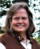 Rogue by Alex Schuler