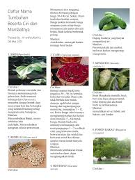 Menurunkan asam urat dan mengobati rematik: Daftar Nama Tumbuhan Beserta Ciri Dan Manfaatnya