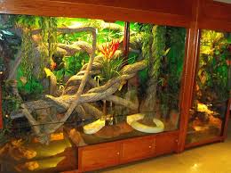 Pin By Davyan Jones On Lizards Reptiles Geckos Snake Cages Bearded Dragon Reptile Tank