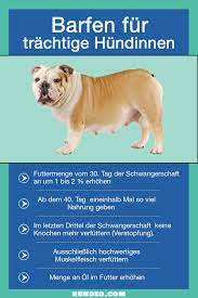 barfen fur anfanger die komplette anleitung hundefutter hunde futter barfen fur anfanger