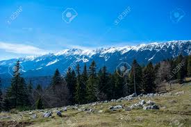 Create a trip to save and organize all of your travel ideas, and see them on a map. Hiking On The Road From Zarnesti To The Piatra Craiului Mountains Stock Photo Picture And Royalty Free Image Image 122266324