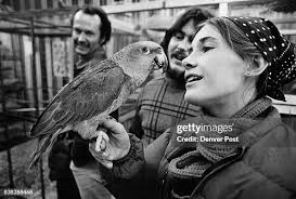 Leslie Webster talks with Kevin-Edward, a large parrot. She and... News  Photo