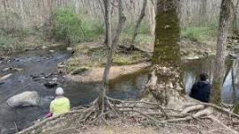 Savor the Stream: A Sensory Experience
