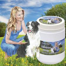 Tinderbox Divine Dog Organic Supplement 400g Biome Eco Stores Organic Supplements Biomes Superfoods