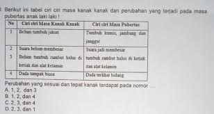 We did not find results for: Plisss Lusa Dikumpulkan Tolong Bantu Saya Kakak Semua Berikut Ini Tabel Ciri Ciri Masa Brainly Co Id