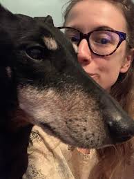 Private Dog Training Services in York and Harrisburg Areas