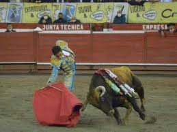 Toros hoy y para enero