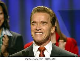 8+ Thousand Arnold Royalty-Free Images, Stock Photos & Pictures