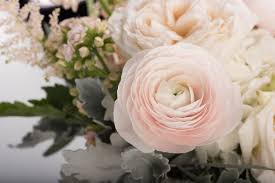 Check spelling or type a new query. Flower Shop Dubai Order Flowers Online Flower Shop In Jlt Uae Flowers Delivery
