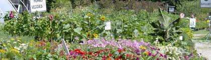 Visit your local independent garden center. Moody S
