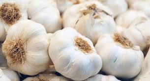 8 Manfaat Bawang Putih Jika Dimakan Mentah Bawang Putih Bawang Kesehatan