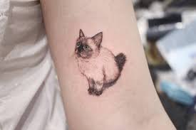Pin On Tattoo