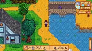 You can then purchase a fruit from the merchant at the stardew valley fair. Stardew Valley Cheats And Tips The First Things To Do On Your Farm Articles Pocket Gamer