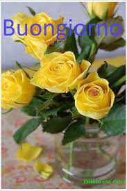 Buongiorno fiori immagini 2021 se vuoi un messaggio mattutino fantastico e bellissimi fiori / rose, ecco alcune idee di immagini e messaggi di buongiorno dolci e rose o fiori virtuali. Pin Di Gerlinde Mai Su Buon Giorno Fiori Bellissimi Fiori Immagini Di Fiori