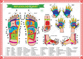 Reflexology Chart