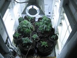 Automatic Watering System For Soil Rollitup