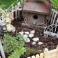 CI: Fairy Gardens
