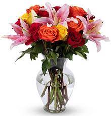 Boston florists rely on the giddiness of customers who have waited for months to see the snow disappear. Amazon Com Benchmark Bouquets Big Blooms With Vase Fresh Cut Flowers Grocery Gourmet Food