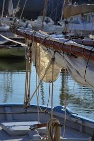 Vincent Brun Hannay Ile De Re Ars En Re Ile Ile De Porquerolles