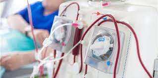 Savesave sistem buah pinggang (kidney system) for later. Apa Itu Dialisis Ini Yang Perlu Pesakit Ginjal Tahu Kaedah Rawatan Lain