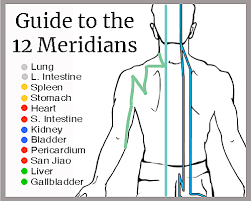 guide to the 12 meridians