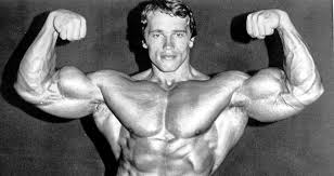 Arnold alois schwarzenegger was born july 30, 1947, in the town of thal, styria, austria, to aurelia schwarzenegger (born jadrny) and gustav schwarzenegger, the local police chief. Arnold Schwarzenegger Profile Stats Generation Iron Fitness Bodybuilding Network