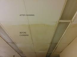 Before cleaning, place an old sheet or drop cloth under the fan to collect the dust. The Absolute Solution