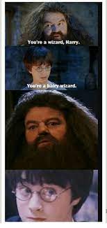 You're a wizard harry 664 gifs. You Re A Wizard Harry You Re A Hairy Wizard Wizard Meme On Me Me