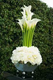 Anatomy Of A Flower Calla Lily Arreglos Florales Arreglos Florales Modernos Bellos Arreglos Florales