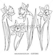 Drawing Flowers Stock Photos Images Pictures Flower Drawing Flower Line Drawings Flower Sketches