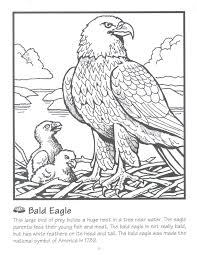 Bald eagle head coloring page. Pin On Teaching Resources