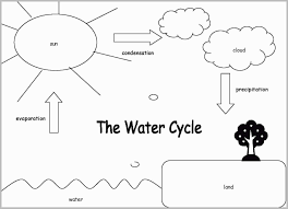 Water Cycle Coloring Page Water Cycle Coloring Page Marvelous Water Cycle For Kids Coloring Entitlementtrap Com In 2020 Water Cycle Worksheet Water Cycle Water Cycle Diagram