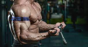 How To Get Stronger Quickly - Quora