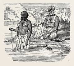 Brahmin Drawings for Sale - Fine Art America