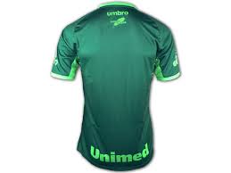 We will never forget them. Umbro Chapecoense 3rd Jersey 2017 18 Don Pallone